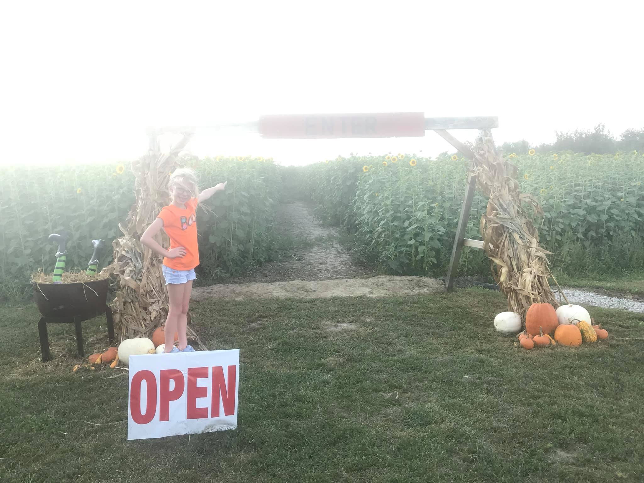 Broom Orchard Fruit Orchard Carlinville, IL