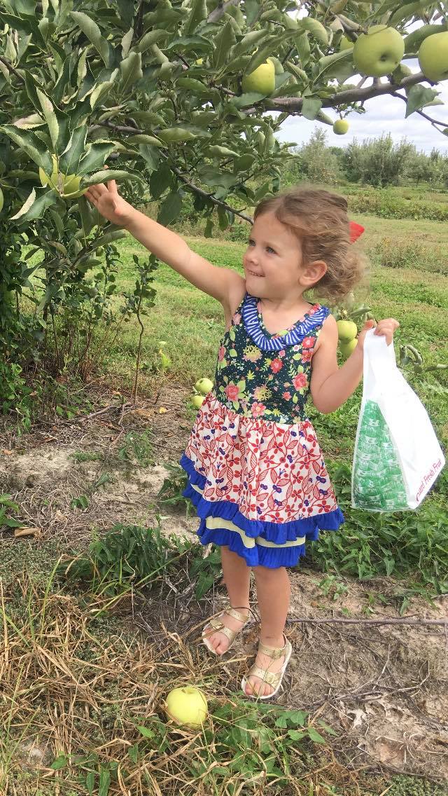 Broom Orchard Fruit Orchard Carlinville, IL